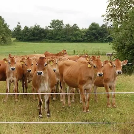 A La Ferme, Au Coeur Du Mene